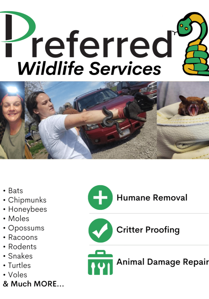 Wildlife Services Landing Page (4 x 5 in)-2